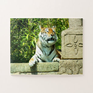 Tiger im Tempel Puzzle