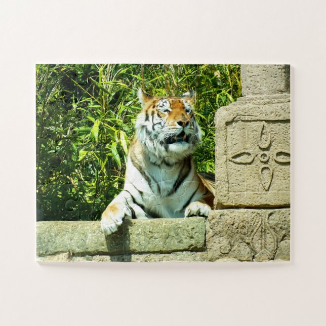 Tiger im Tempel Puzzle (Horizontal)
