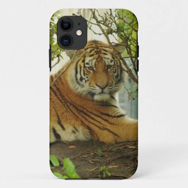 Tiger im Wald Case-Mate iPhone Hülle (Rückseite)