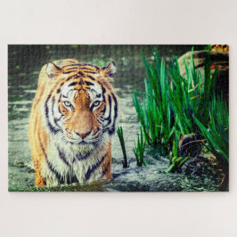 Tiger im Wasser Puzzle