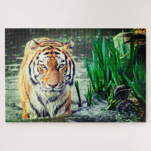 Tiger im Wasser Puzzle