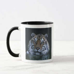 Tiger im Wasser Tasse