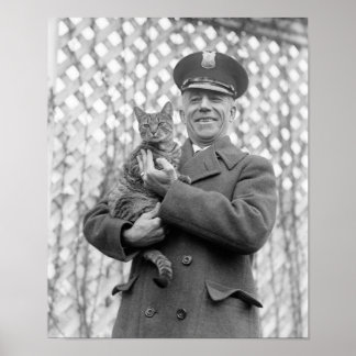 Tiger im Weißen Haus: 1924 Poster