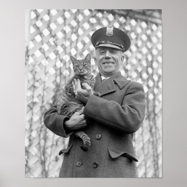 Tiger im Weißen Haus: 1924 Poster (Vorne)