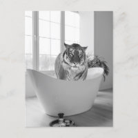 Tiger in der Badewanne Schwarz Weiß Badezimmer Kun