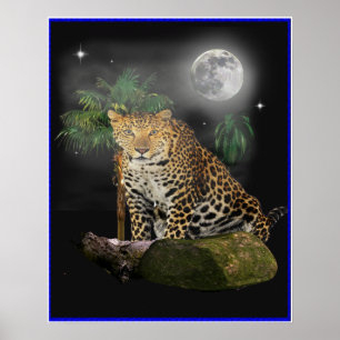 Tiger in der Nachtposter Poster