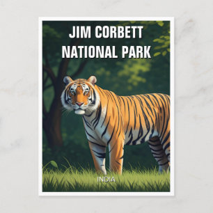 Tiger in Jim Corbett Nationalpark Postkarte