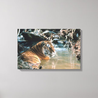 Tiger in Wasser 2 Leinwanddruck