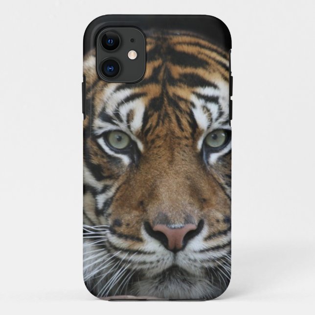 Tiger iPhone Fall Case-Mate iPhone Hülle (Rückseite)