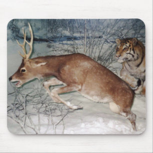 Tiger jagt Hirschpolster Mousepad