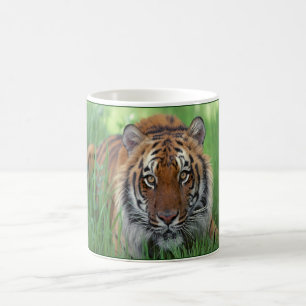 Tiger Kaffeetasse