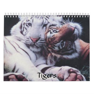 Tiger Kalender
