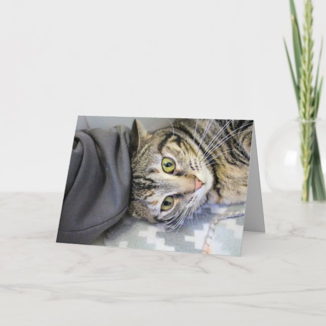 Tiger Karte (Vorderseite)