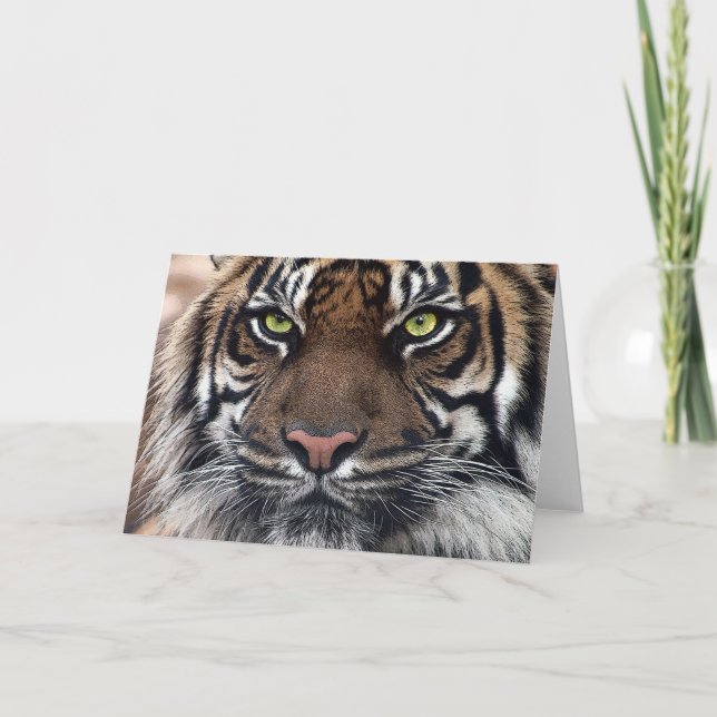 Tiger Karte (Vorderseite)