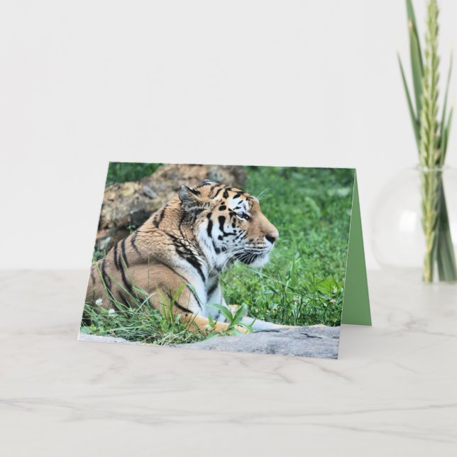 Tiger Karte (Vorderseite)