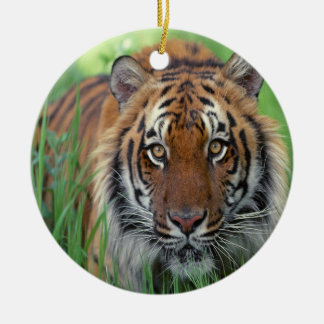 Tiger Keramik Ornament