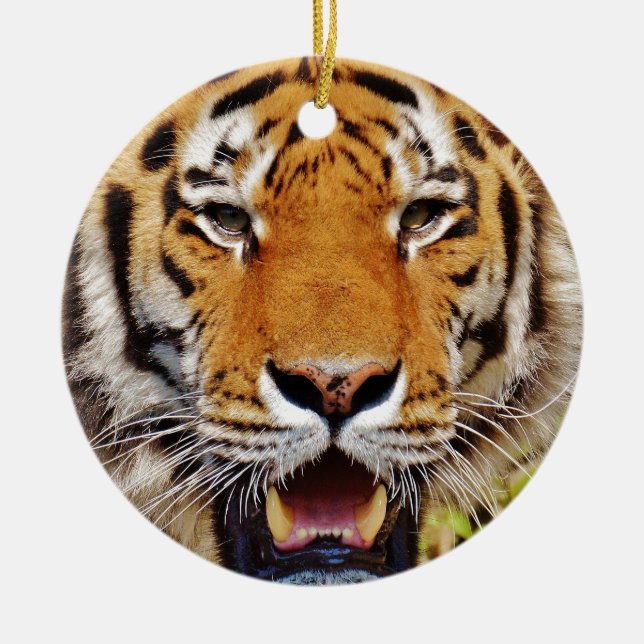 Tiger Keramikornament (Vorne)