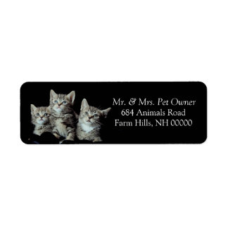 Tiger Kittens Rücksendeadresse Stickers Labels