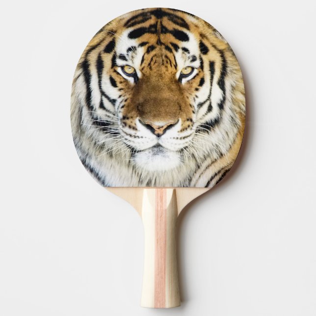 Tiger-Klingeln Pong Paddel Tischtennis Schläger (Vorderseite)
