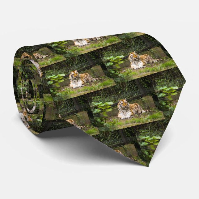 Tiger Krawatte (Gerollt)
