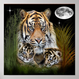 Tiger-Kunstposter Poster