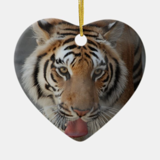 Tiger Küsse Ornament (Vorne)