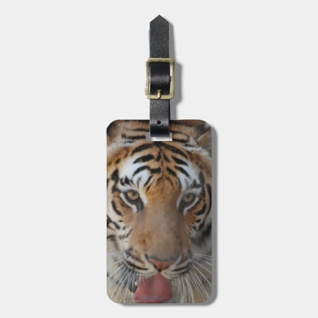Tiger küsst Gepäckanhänger (Vorderseite vertikal)
