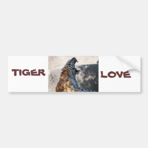 Tiger-Liebe Autoaufkleber