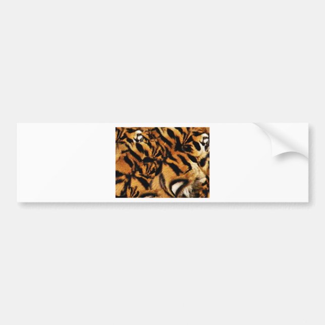 Tiger-Liebe_ Autoaufkleber (Vorne)