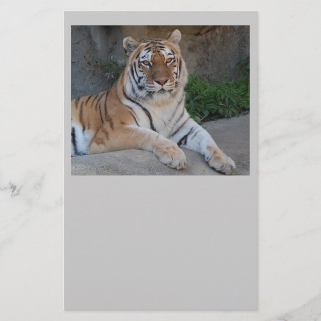 Tiger-Liebe Briefpapier (Vorderseite)