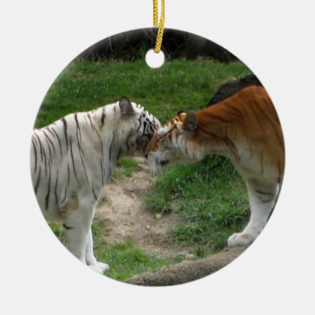 Tiger Liebe Ornament ~ Tigers (Vorne)