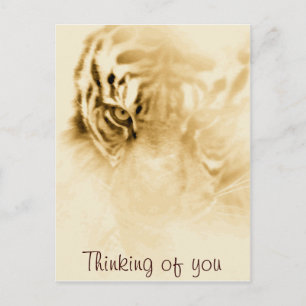 ,Tiger Liebe_ Postkarte