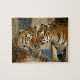 Tiger-Liebe-Puzzlespiel Puzzle
