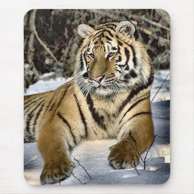Tiger-Liebhaber-Kunst-Geschenke Mousepad (Vorne)