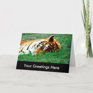 Tiger liegt auf leerer Grußkarte Karte