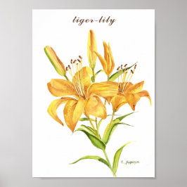 Tiger-Lilie in orangefarbenem und gelbem Wasserfar Poster