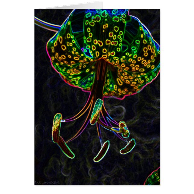 Tiger-Lilie Photoshop (Vorne)