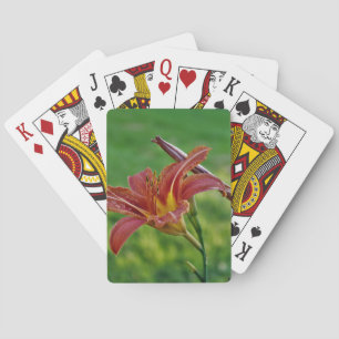 Tiger-Lilien Spielkarten