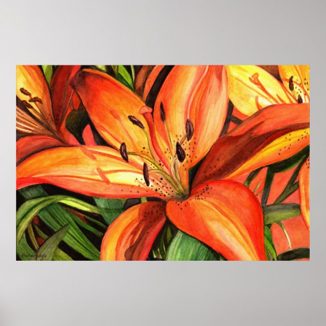 Tiger Lilies Poster (Vorne)
