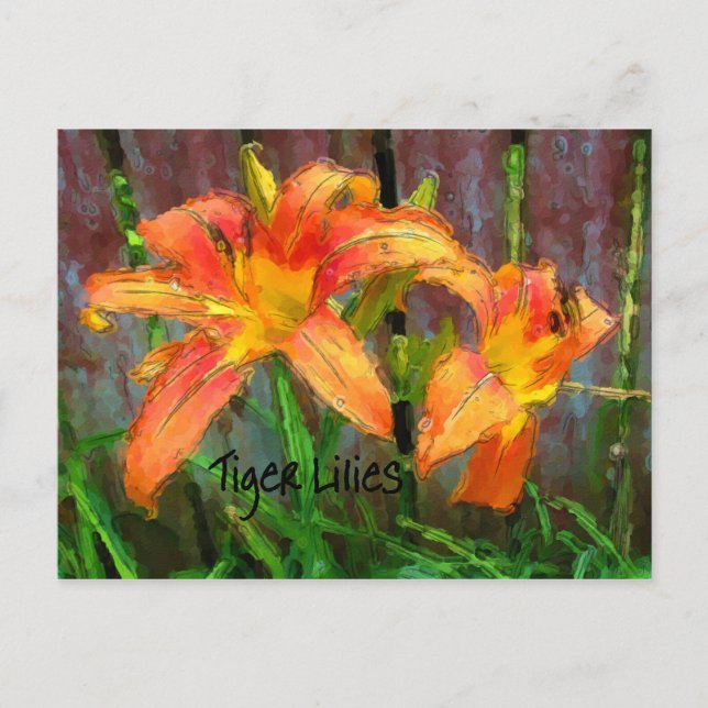 Tiger Lilies Postkarte (Vorderseite)