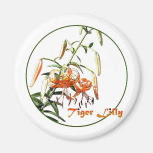 Tiger Lilly Magnet