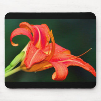 Tiger Lilly Mousepad