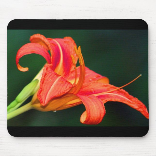 Tiger Lilly Mousepad (Vorne)