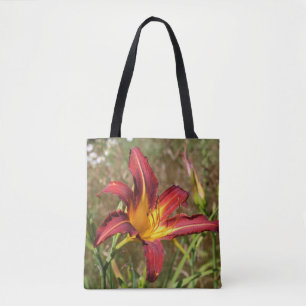 Tiger Lily