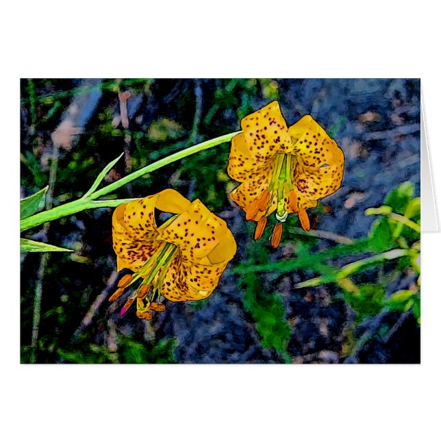 Tiger Lily (Vorderseite (Horizontal))