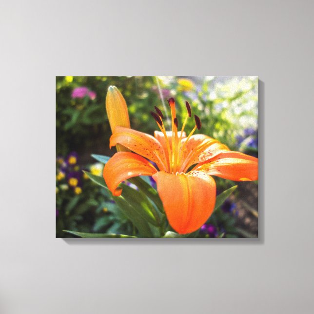 Tiger Lily Canvas Print Leinwanddruck (Vorderseite)