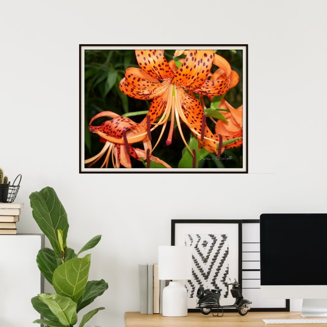 Tiger Lily Flower Garden Poster (Heimbüro)