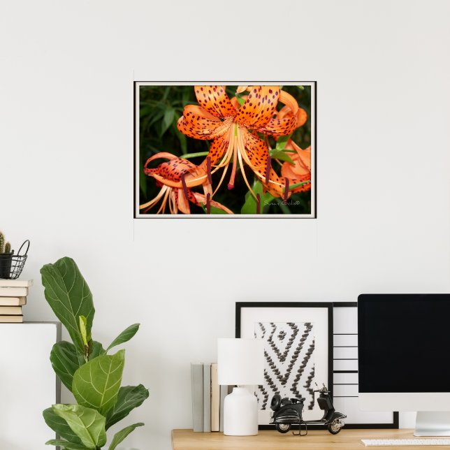 Tiger Lily Flower Garden Poster (Heimbüro)