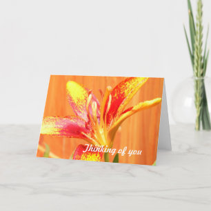 Tiger Lily Grußkarten Karte