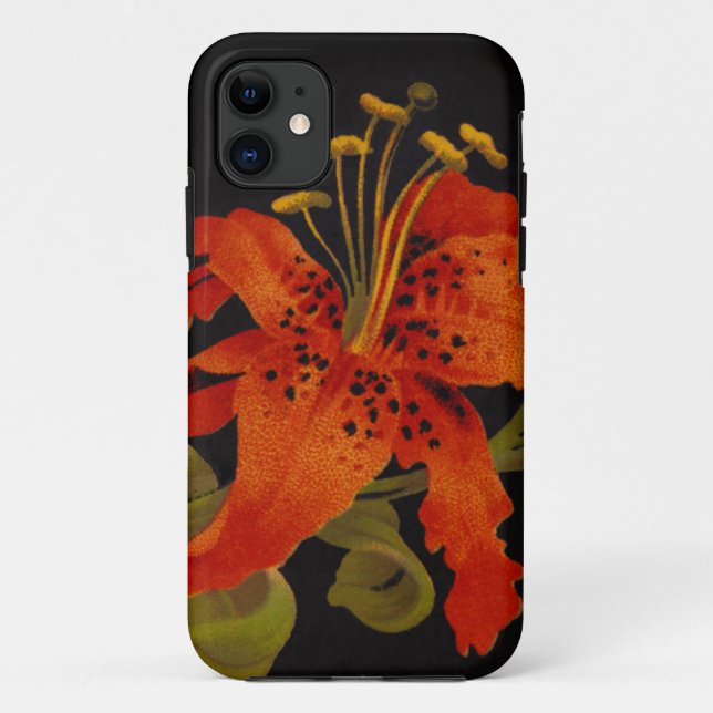 Tiger Lily iPhone 5/5S Hülle (Rückseite)